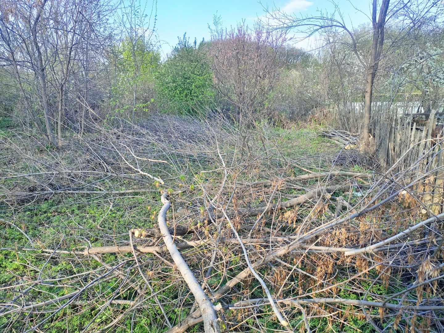 Продаю участок в Волжском районе, за гипермаркет Лента, участок 6 соток, рядом жилые дома и коттеджи. В процессе уборки территории. 
Все вопросы по телефону! Покажем в удобное время! Звоните! 