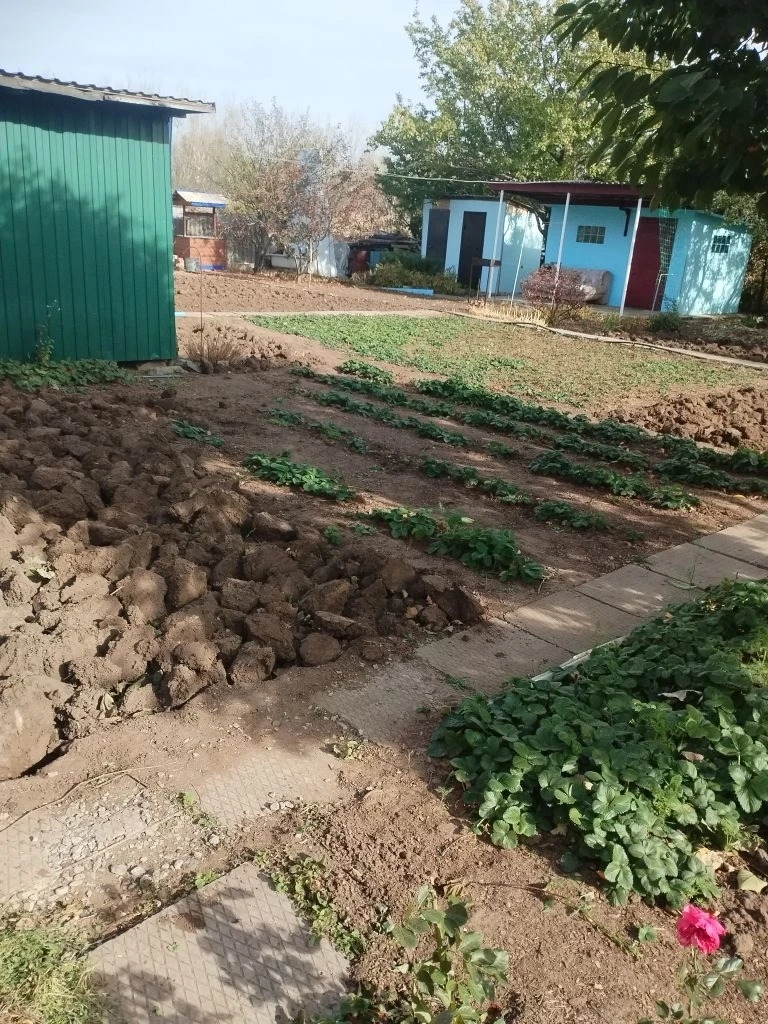 Продается ухоженный садовый участок с отличной баней -12кв.м., своей скважиной, сливом, хоз. постройкой и туалетом, с возможность построить домик на свой вкус!Электричество круглый год, есть ещё вода сезонная поливная (новый водопровод),  растут плодовые деревья и кустарники (абрикос, слива, вишня, 