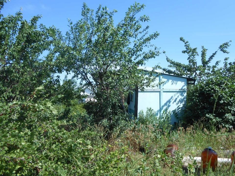 Продам дачу. Энгельс, пос.Приволжский, СНТ Вишенка. Земельный участок 6,4 сот, в собственности. На участке есть домик-вагончик, растут плодовые деревья и кустарники. Вода сезонная по часам, скоро будет проведена постоянная питьевая вода,  свет есть. До центра Энгельса 10 км. 